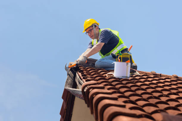 Best Skylight Installation and Repair  in Stoneville, NC